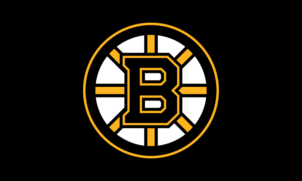 Boston Bruins Flag