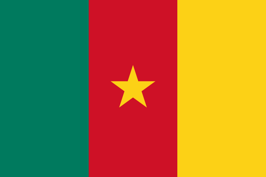 Cameroon Flag