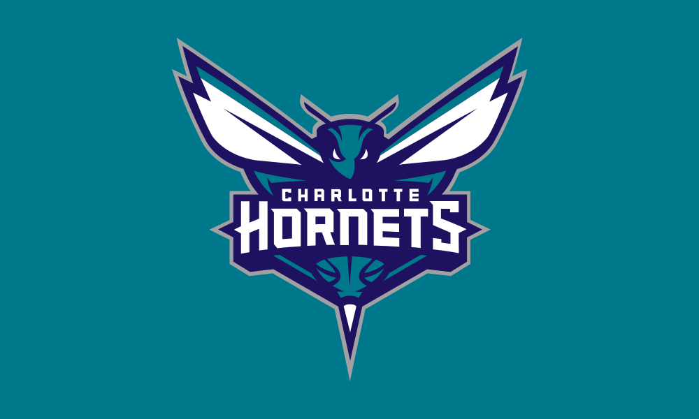 Charlotte Hornets Flag