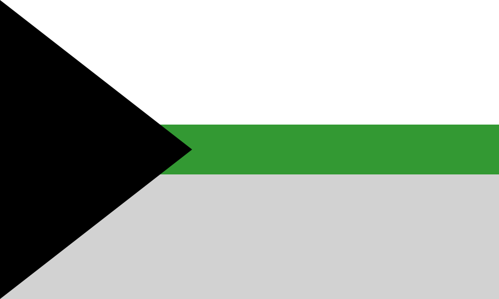 Demiromantic Flag