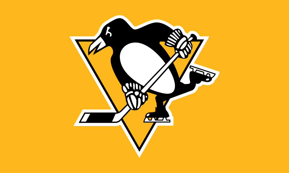 Pittsburgh Penguins Flag